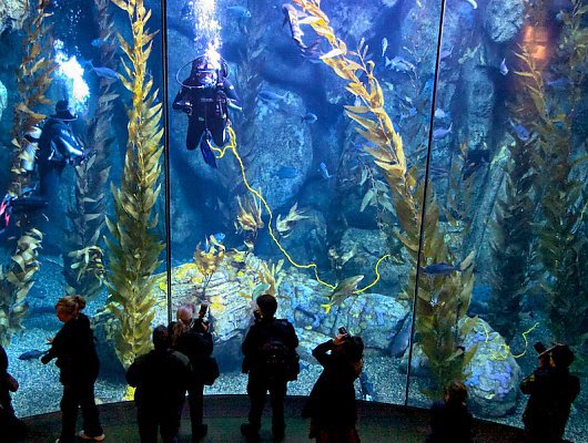 blue-cavern_lrg_530_400_85shar-70-5-5_s_c1_c_c_0_0_1