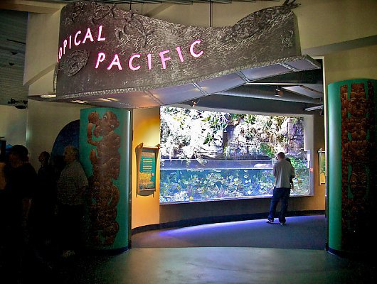 tropical-pacific-entrance_lrg_530_400_85shar-70-5-5_s_c1_c_c_0_0_1